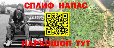 СК Камышлов
