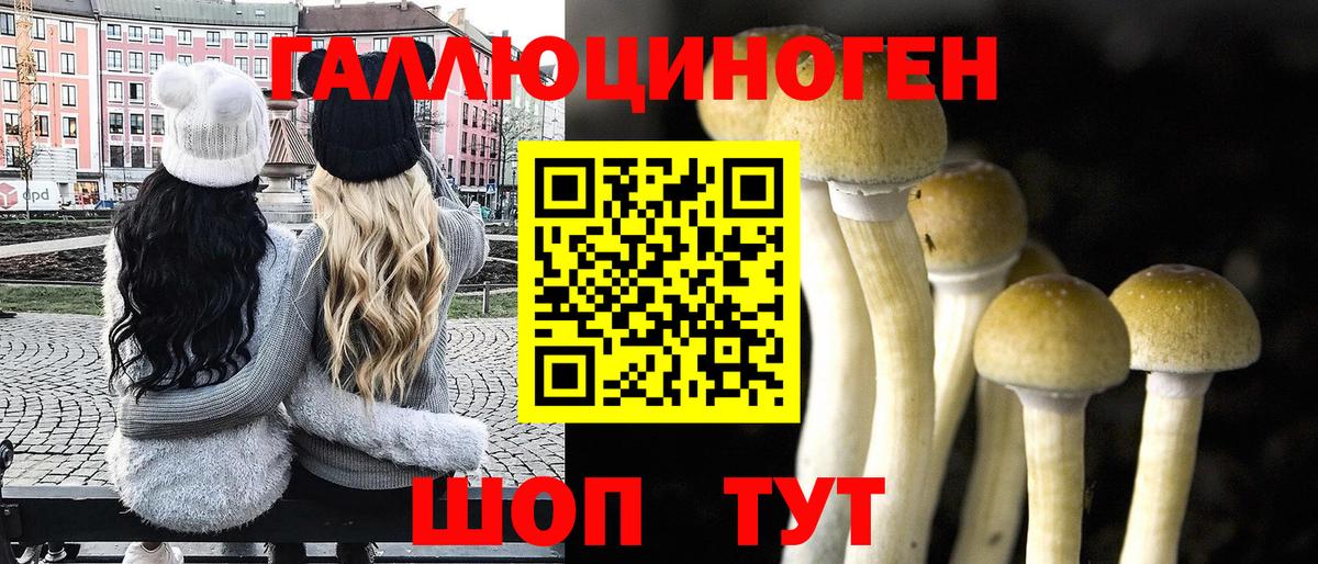 Псилоцибиновые грибы мицелий Тихорецк